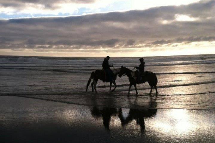 Billeder af Bali Horse Riding + Drone
