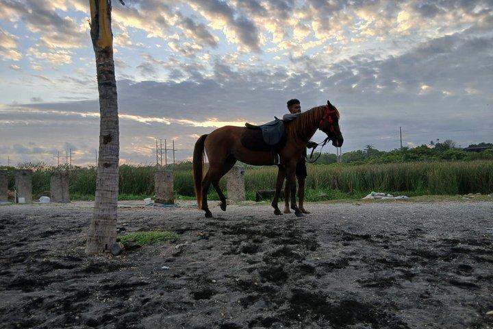 Billeder af Bali Horse Riding + Drone