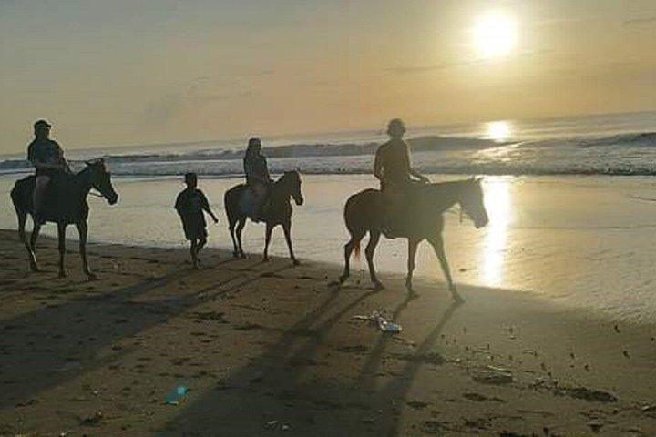 Billeder af Bali Horse Riding + Drone