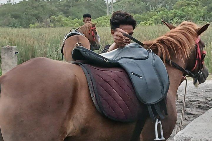 Billeder af Bali Horse Riding + Drone