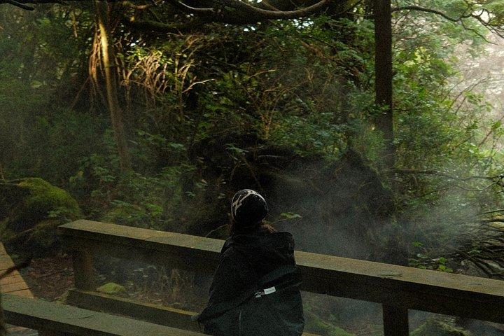温泉入り江ツアー遊覧船と天然プール