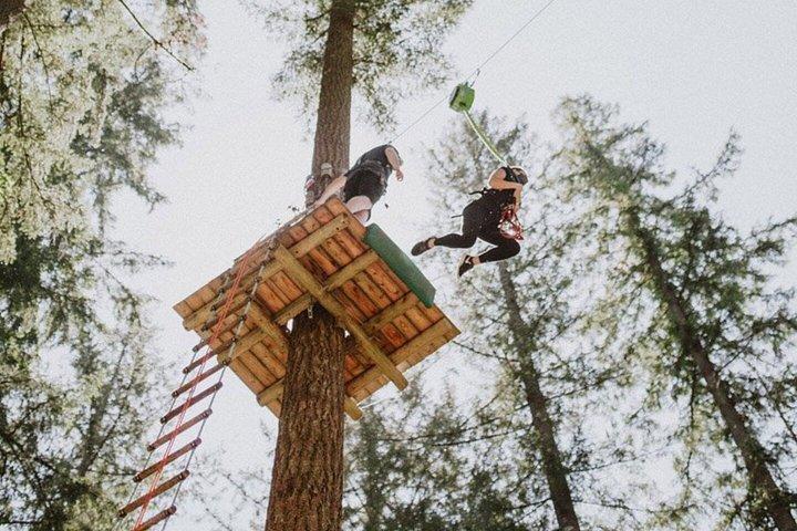Maple Ridge Classic Adventure Course