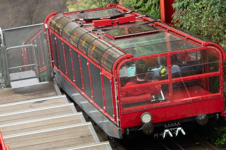 Blue Mountains Private Tour von Sydney : Scenic World & Koalas