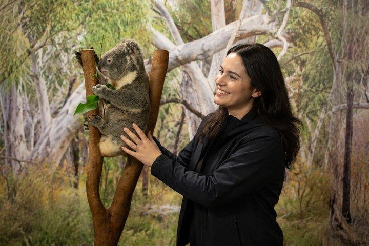 Blue Mountains Private Tour von Sydney : Scenic World & Koalas