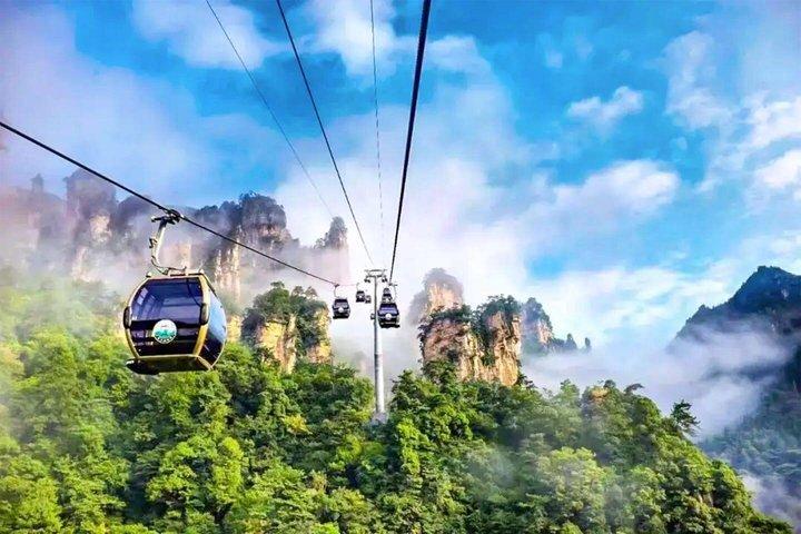 1 - Día Mejores Mini Tours en Grupo y Privados al Monte Avatar y Forest Park