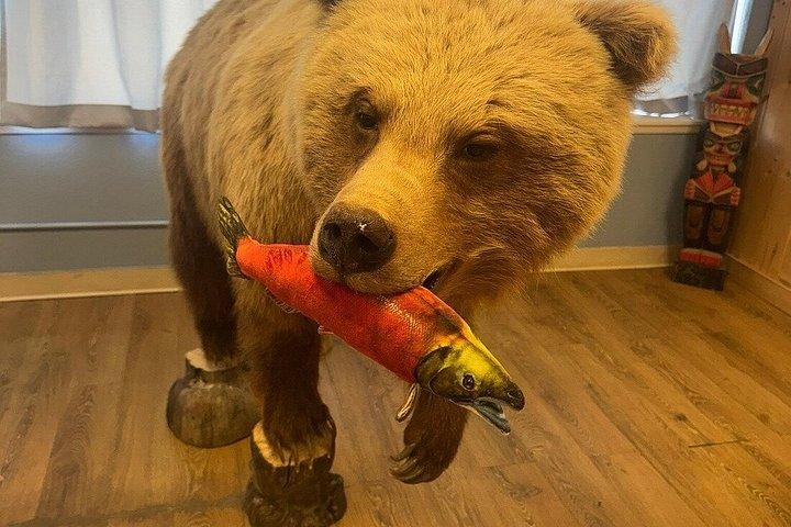 ケチカンデラックスシティ&サックスマンネイティブビレッジ&野生動物ツアー