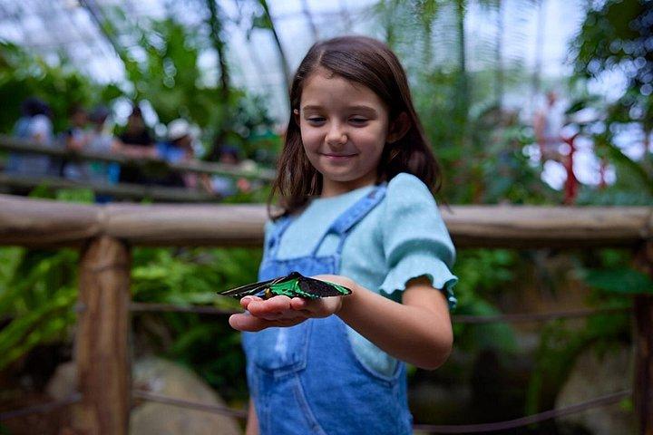 Kuranda Deluxe with Scenic Railway and Butterfly Sanctuary