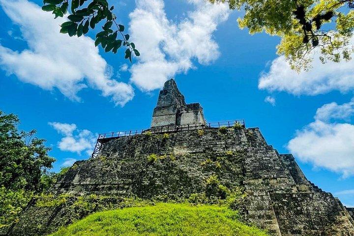 サンイグナチオから地元の昼食付きティカル日帰り旅行