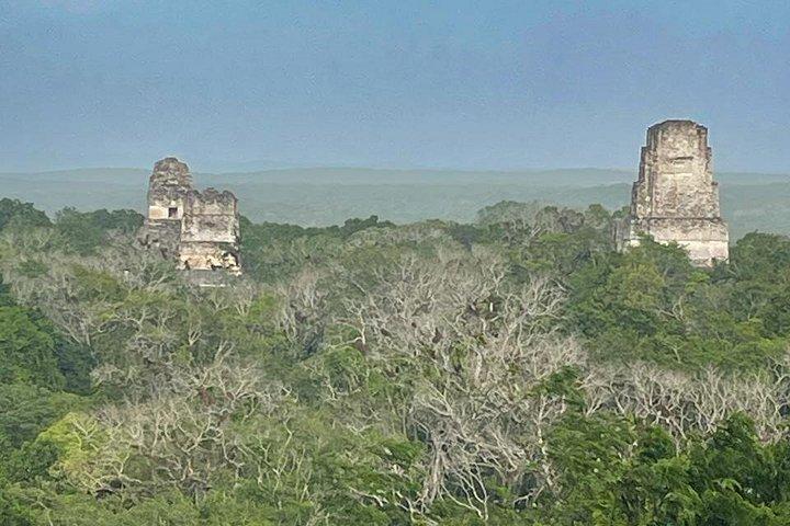 サンイグナチオから地元の昼食付きティカル日帰り旅行