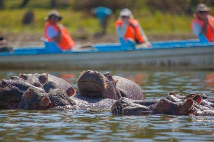ナイロビ発ヘルズゲート、ナイバシャ湖＆三日月島ツアー