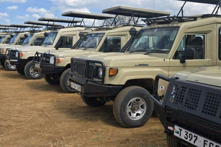 Private ganztägige Safari im Arusha-Nationalpark