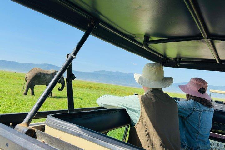 Arusha nationalpark privat heldagssafari