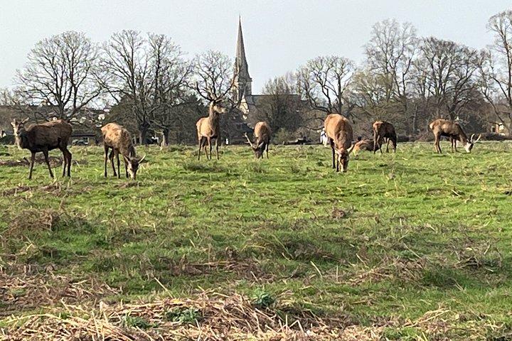リッチモンド公園とリバーサイドウォーキングツアー