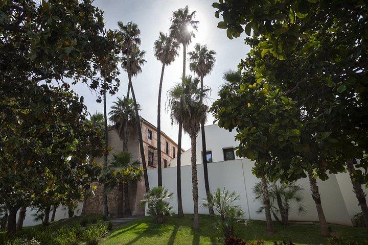 Picasso Museum Malaga and Temporary Exhibitions Ticket