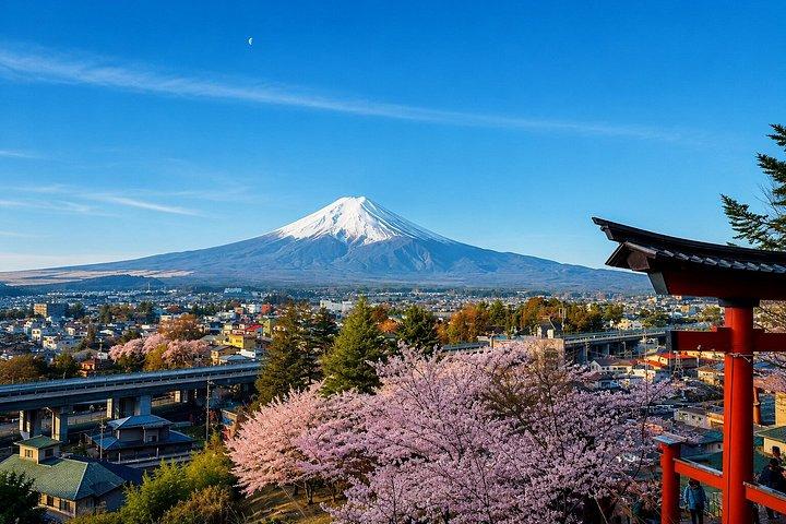 横浜港：プライベート富士山と河口湖日帰りツアー