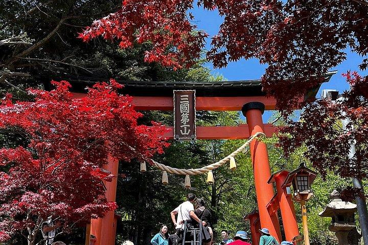 横浜港：プライベート富士山と河口湖日帰りツアー