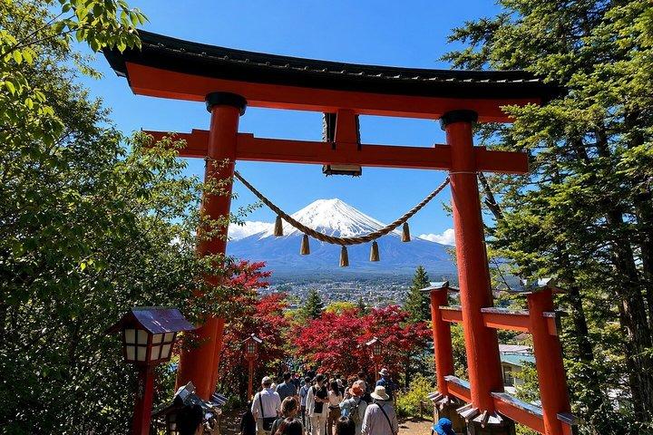 横浜港：プライベート富士山と河口湖日帰りツアー