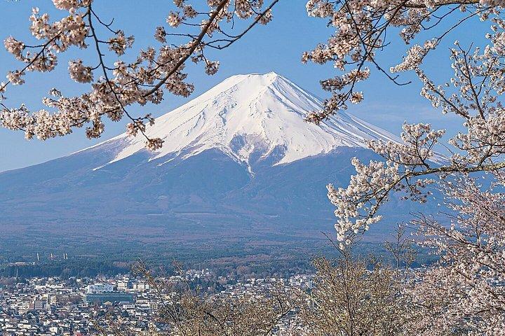 横浜港：プライベート富士山と河口湖日帰りツアー