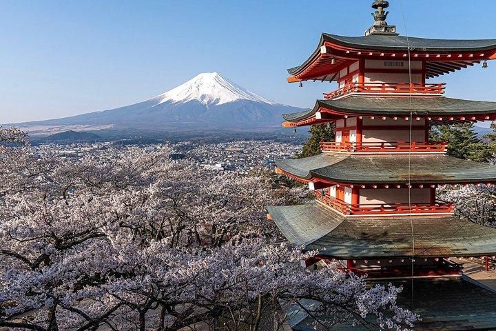 横浜港：プライベート富士山と河口湖日帰りツアー