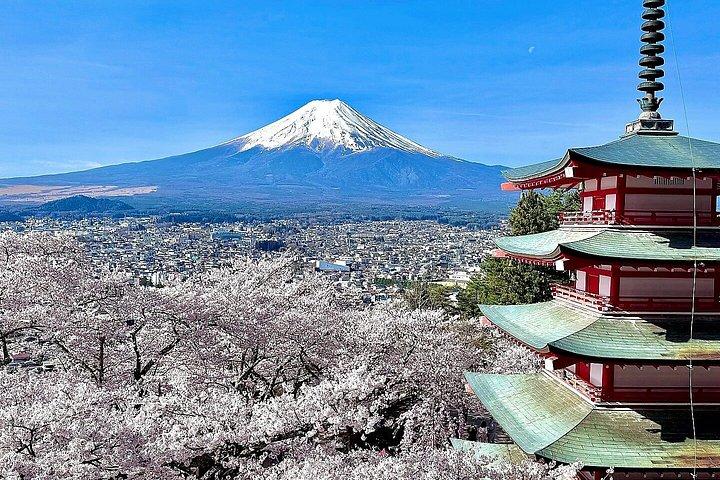 横浜港：プライベート富士山と河口湖日帰りツアー
