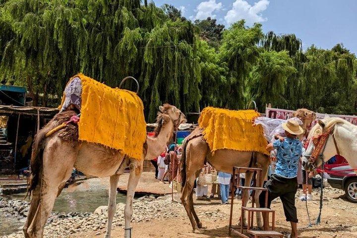 マラケシュ発オウリカ渓谷とアトラス山脈の滝ツアー