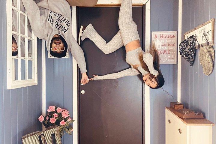 Upside Down House Brighton Eintrittskarte