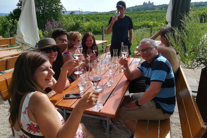 Tour del vino di mezza giornata vicino a Vienna con pasto e trasferimento