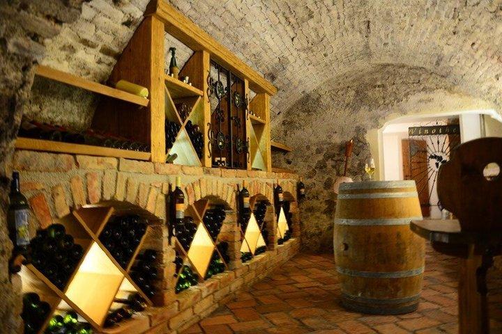 ウィーン近郊田園半日ワインツアー（食事＆送迎付き）