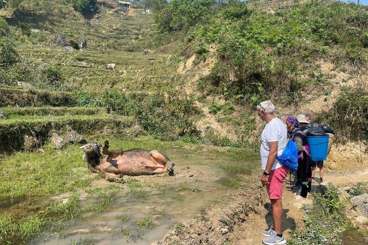 Von Sapa : Trek durch Muong Hoa Valley & Ta Van Ethnic Villages
