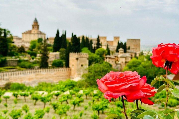 Visita guiada ao Palácio da Alhambra e aos Jardins Generalife