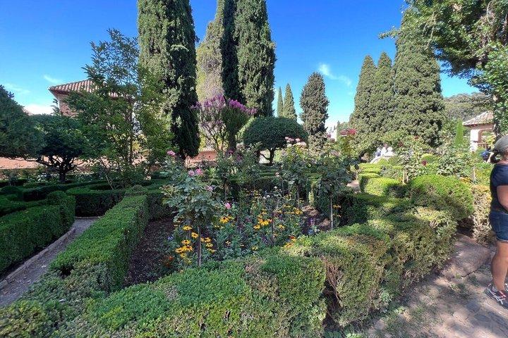 Visita guiada ao Palácio da Alhambra e aos Jardins Generalife