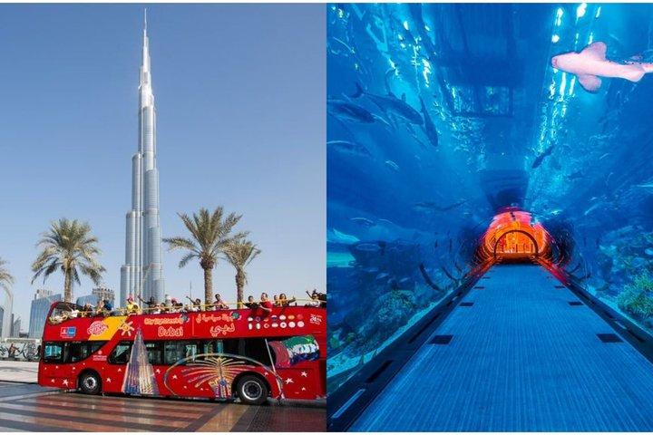 City Sightseeing Dubai Hop-On Hop-Off Bus + Lost World Aquarium