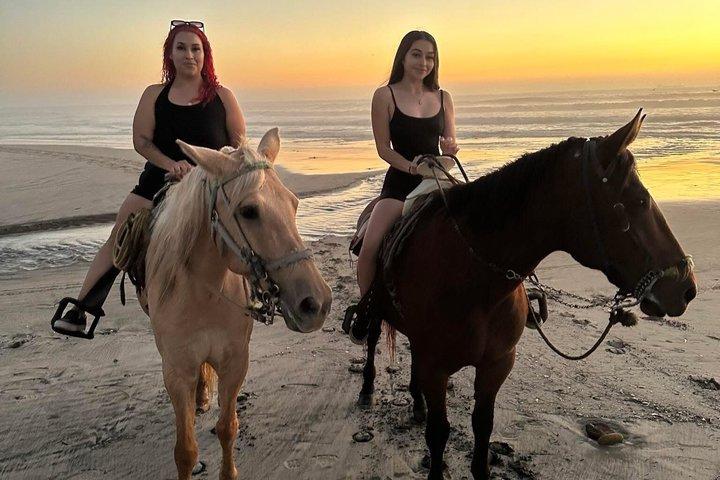 Passeggiate a cavallo sulla spiaggia di Rosarito + Trasporti
