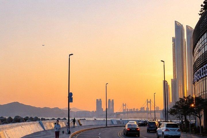 Customizable Private Busan Highlights Tour with a Local Guide