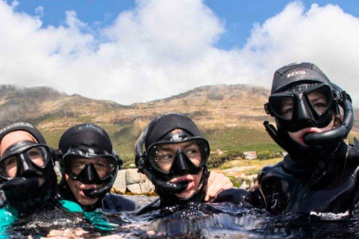 Tour finale di un'intera giornata della penisola del Capo e attività snorkeling guidata
