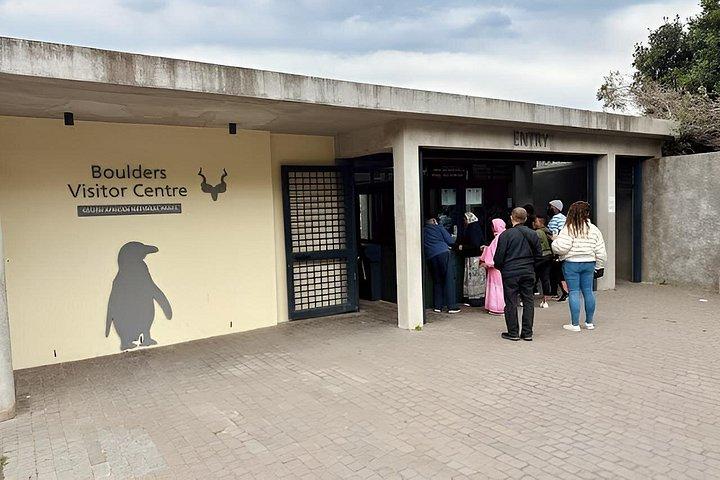Tour finale di un'intera giornata della penisola del Capo e attività snorkeling guidata