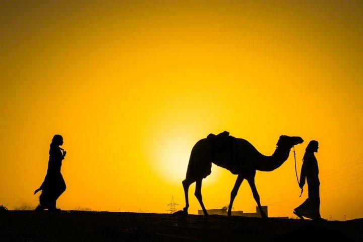Marrakech Quad Bike and Camel ride & Sunset and Tea