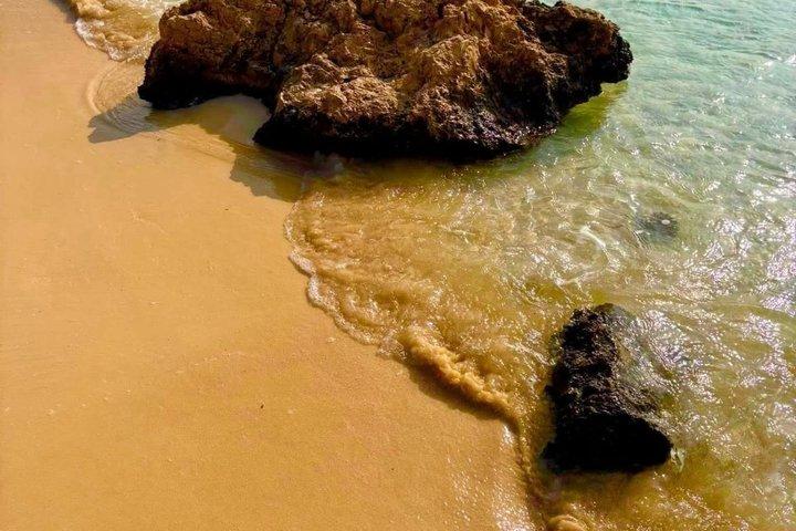 マルサアラムでのシャルム・エル・ルリ・ビーチシュノーケリング旅行