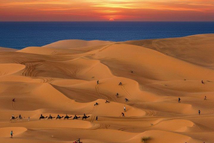 Agadir & Taghazout 3 - in - 1 Tour : Sandboarding, Camel Ride & BBQ