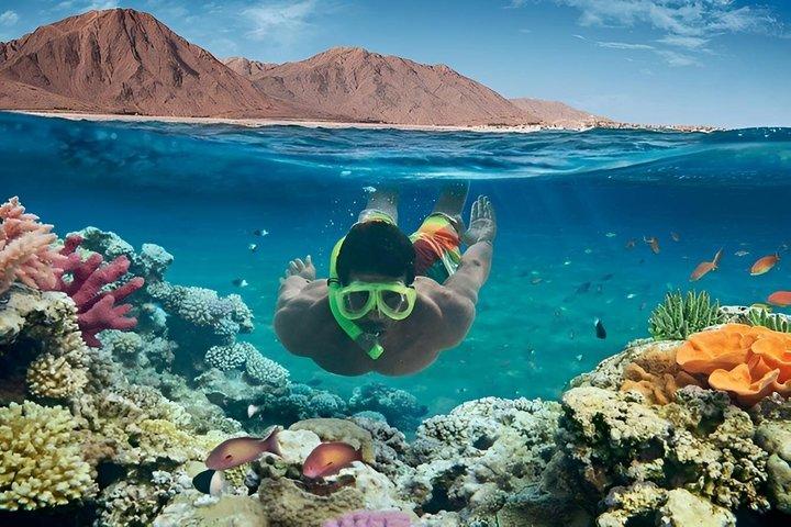 Hurghada Snorkeling Cruise to Orange Bay Island