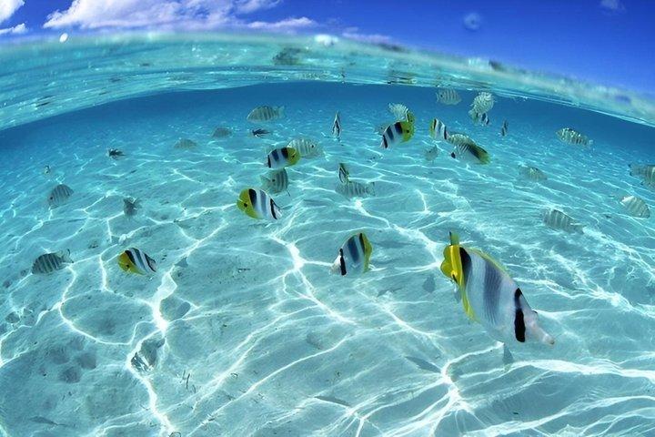 Hurghada Schnorcheltour nach Orange Bay Island