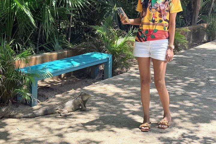 Fun Day explore Roatan