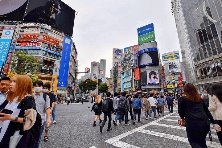 東京乗り継ぎツアー 6時間：築地、浅草、渋谷を現地エキスパートパートと巡る