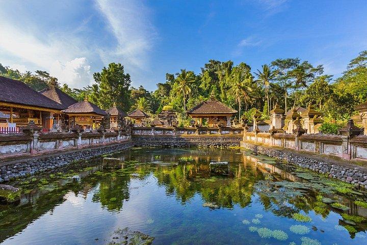 ウブドハイライトツアーバロンダンス、滝、ジャングルスイング