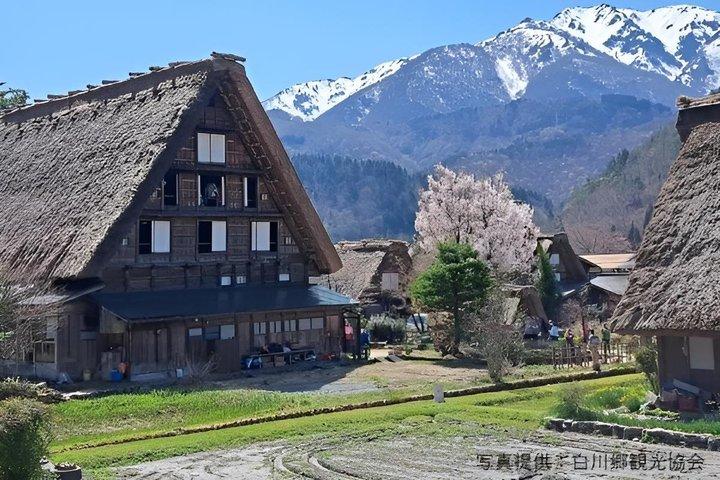 Shirakawago & Takayama Full Day Tour from Kanazawa