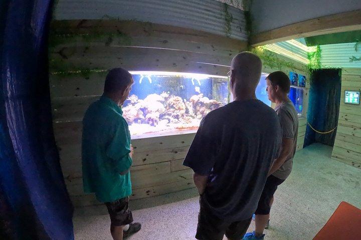 Crystal River Manatee Swim – 3 Hours, Maximum 6 Guests