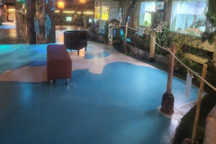Crystal River Manatee Swim – 3 Hours, Maximum 6 Guests