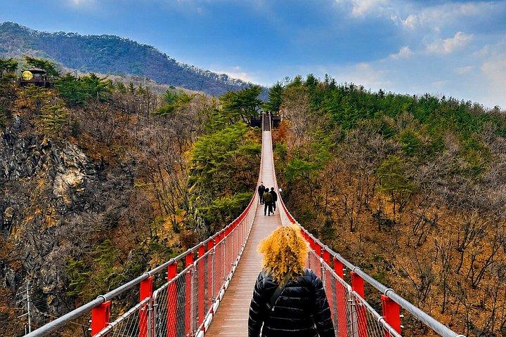 Seoul: Private DMZ Tour | Less Waiting and Expert Guide