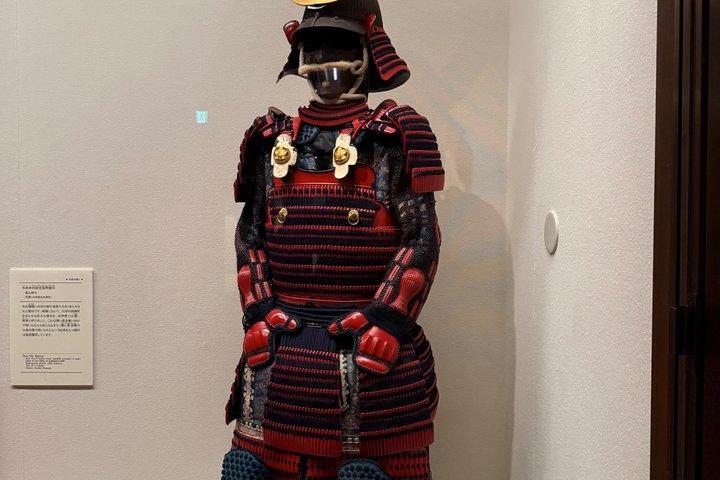 Osaka Castle Guided Tour: Interior, Museum & Gardens
