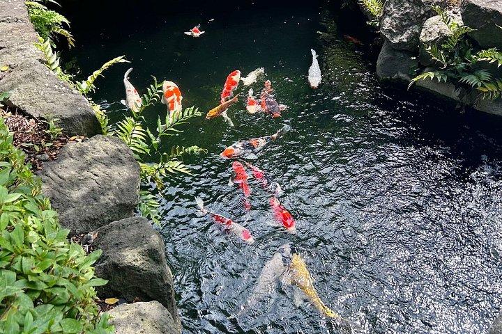 東京:浅草浅草寺&旧市街散策ツアー